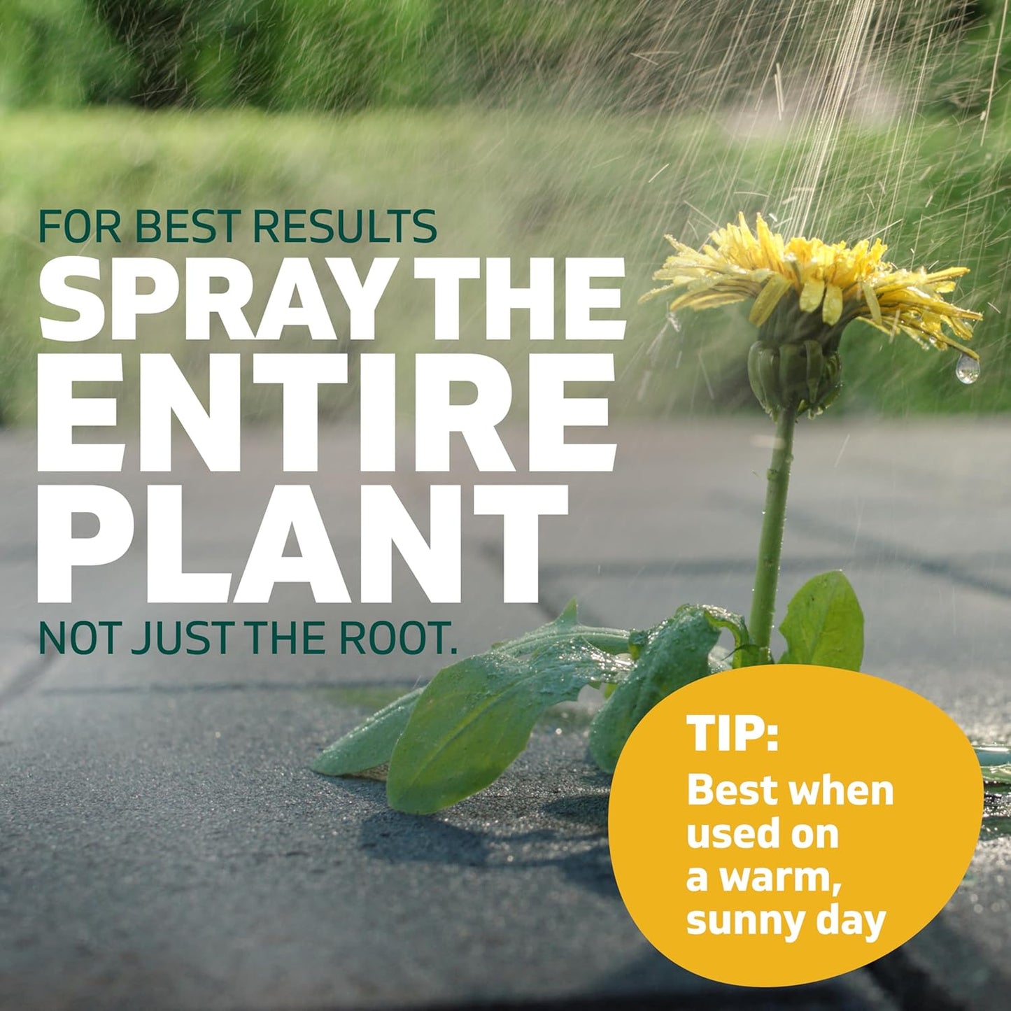 Reusable Sprayer with Wand for Spot-Treating Driveways