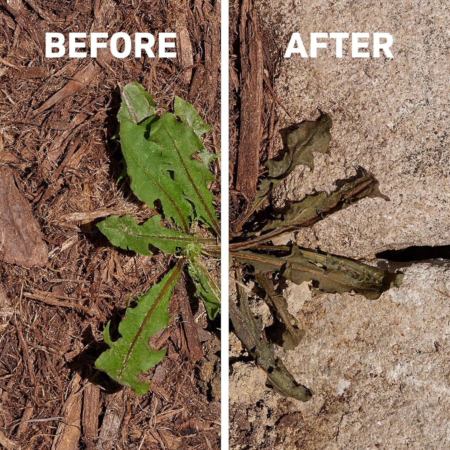 Reusable Sprayer with Wand for Spot-Treating Driveways